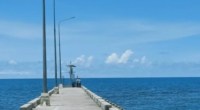 Boulevard in Virac Dream