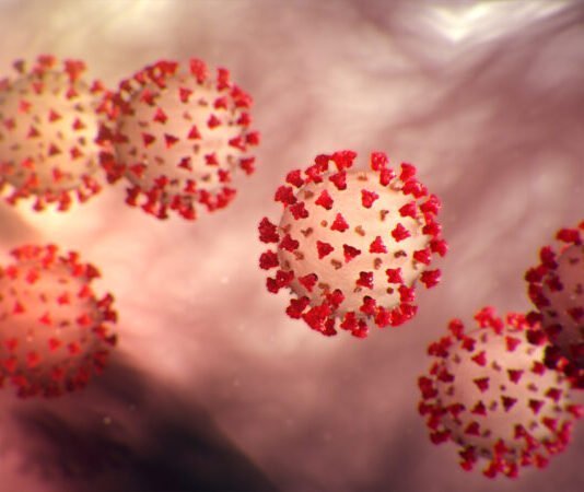 HEALTH PROTOCOLS MAHIGPIT NA IPINATUPAD SA LIBING KAY PATIENT 649