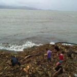 Mga kahoy nagkalat sa baybayin ng Virac dahil sa pag-ulan