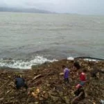 Mga kahoy nagkalat sa baybayin ng Virac dahil sa pag-ulan