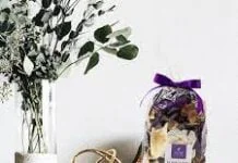 POTPOURRI